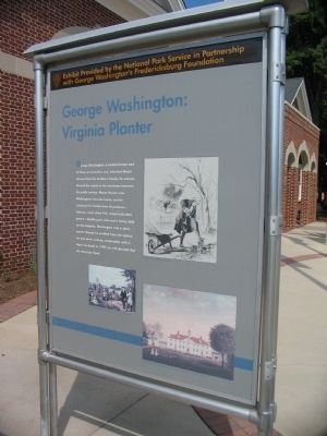 George Washington: Virginia Planter image. Click for full size.