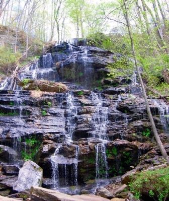 Issaqueena Falls. Click for full size. Issaqueena Falls image. Click for full size.