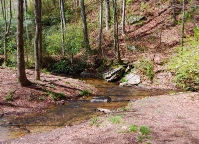 Creek Leading to the Falls. Click for full size. Creek Leading to the Falls image. Click for full size.