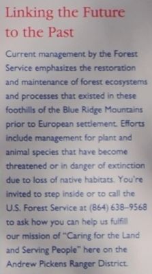 Andrew Pickens Ranger District - Linking the Future to the Past image. Click for full size.