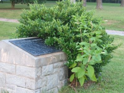 Cold Harbor Campaign Marker. Click for full size. Cold Harbor Campaign Marker image. Click for full size.