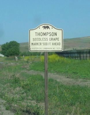 Site of Propagation of the Thompson Seedless Grape State Historical Landmark Directional Sign image. Click for full size.