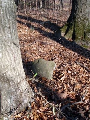 Fieldstone in the area of 10th Alabama Cemetery image. Click for full size.