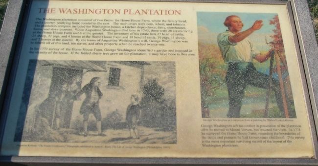 The Washington Plantation Marker image. Click for full size.