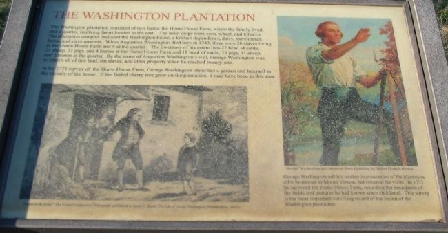 The Washington Plantation Marker. Click for full size. The Washington Plantation Marker image. Click for full size.
