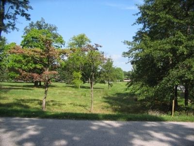 Looking North from Ziegler's Grove. Click for full size. Looking North from Ziegler's Grove image. Click for full size.