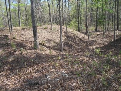 Confederate Earthworks on White Oak Road image. Click for full size.
