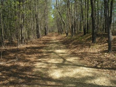 The Battle of White Oak Road Walking Trail image. Click for full size.