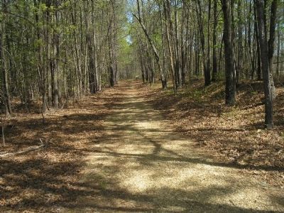 The Battle of White Oak Road Walking Trail image. Click for full size.