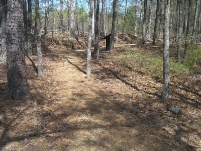 The Battle of White Oak Road Marker image. Click for full size.