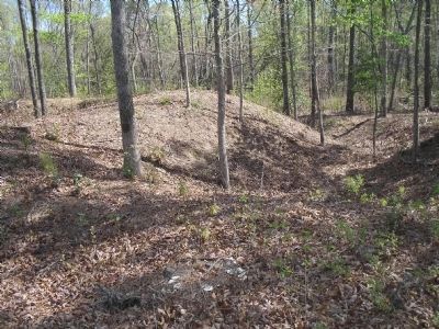 Earthworks on White Oak Road image. Click for full size.