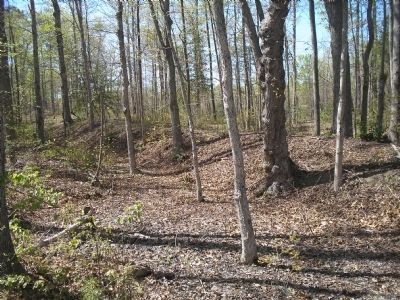 Earthworks. Click for full size. Earthworks image. Click for full size.