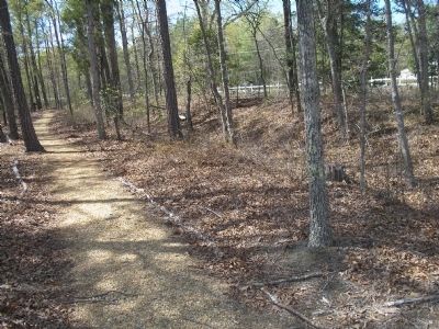 Walking Trail on the White Oak Road Battlefield image. Click for full size.