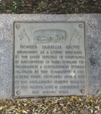Pioneer Camellia Grove Marker image. Click for full size.