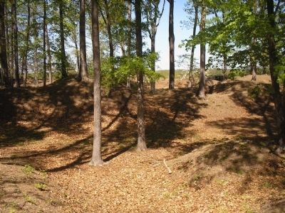 Inside Drewry’s Bluff. Click for full size. Inside Drewry’s Bluff image. Click for full size.