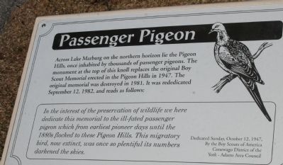 Passenger Pigeon Marker. Click for full size. Passenger Pigeon Marker image. Click for full size.