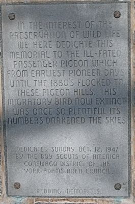 Passenger Pigeon Marker upper plaque image. Click for full size.