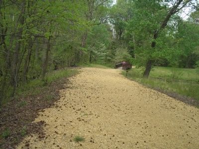 East Side of Beaver Dam Creek. Click for full size. East Side of Beaver Dam Creek image. Click for full size.