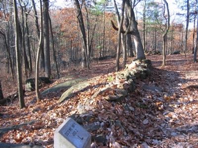 Left Flank of the 20th Maine image. Click for full size.