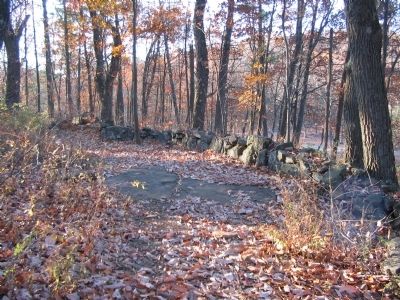 Right Flank of the 20th Maine image. Click for full size.