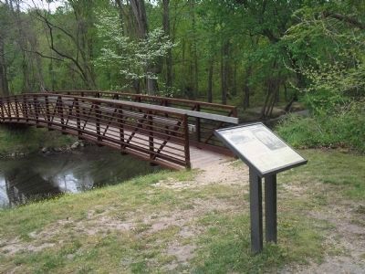 Beaver Dam Creek. Click for full size. Beaver Dam Creek image. Click for full size.