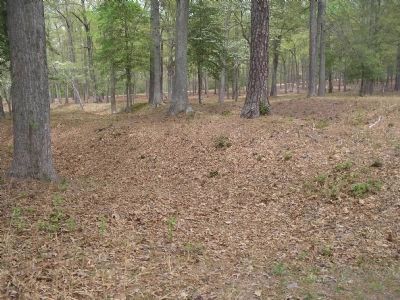 Earthworks at Cold Harbor image. Click for full size.