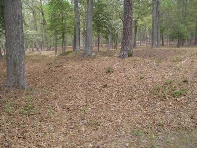 Earthworks at Cold Harbor. Click for full size. Earthworks at Cold Harbor image. Click for full size.
