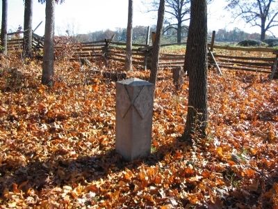 86th and 124th New York Regiments Flank Marker image. Click for full size.