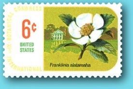 Franklinia Altamaha Honored with a postage stamp image. Click for full size.