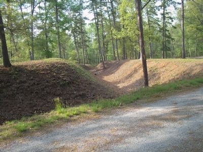 Confederate Earthworks at Fort Johnson image. Click for full size.