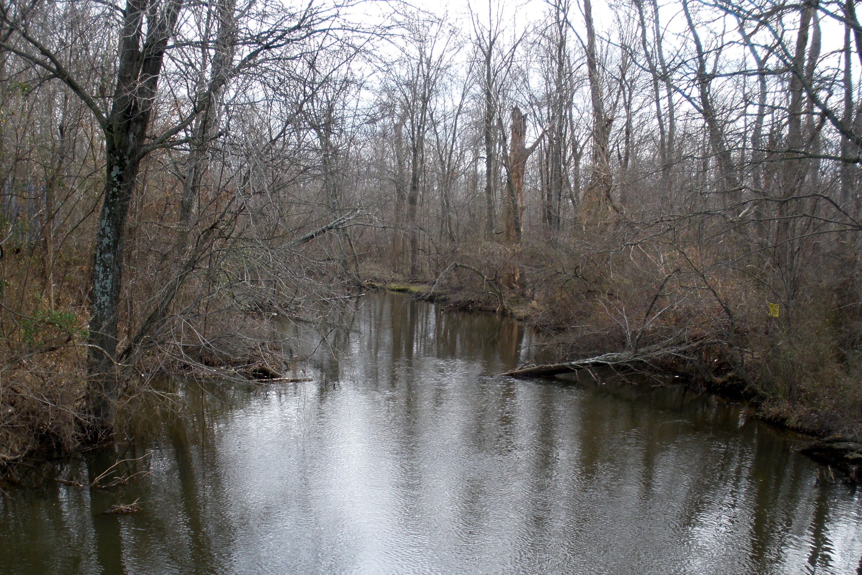Main Channel of the Chickahominy River at Mechanicsville