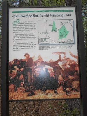 Cold Harbor Battlefield Walking Trail Marker image. Click for full size.
