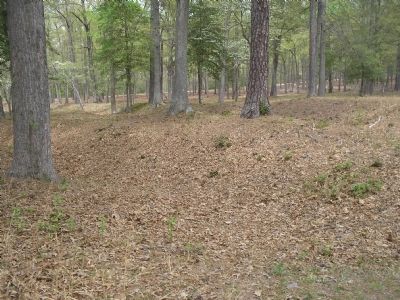 Earthworks on the Cold Harbor Battlefield image. Click for full size.