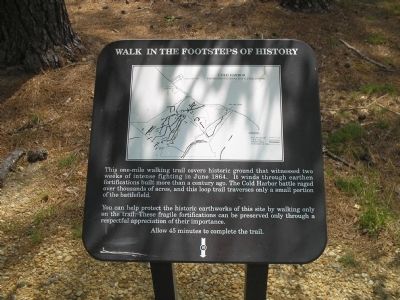 Walk in the Footsteps of History Marker image. Click for full size.