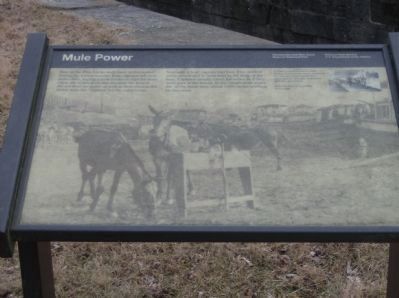 Close-up of Mule Power Marker image. Click for full size.