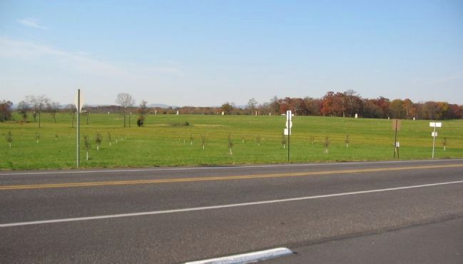 Orchard West of Seminary Ridge. Click for full size. Orchard West of Seminary Ridge image. Click for full size.