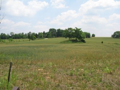 The Grounds of Grove Farm Today. Click for full size. The Grounds of Grove Farm Today image. Click for full size.