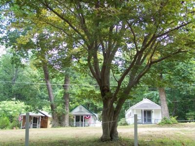 Cabins at Emory Grove image. Click for full size.