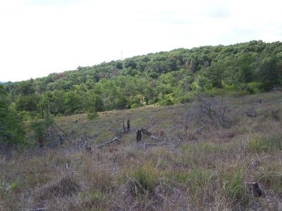 Barrens of Soldiers Delight image. Click for full size.
