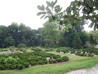 Formal Gardens at Hampton Mansion image. Click for full size.