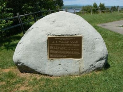 A. J. “Allie” Cole Marker image. Click for full size.