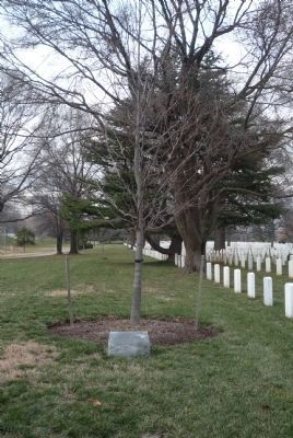 The Embassy Bombings Marker, ANC, Section 51 image. Click for full size.
