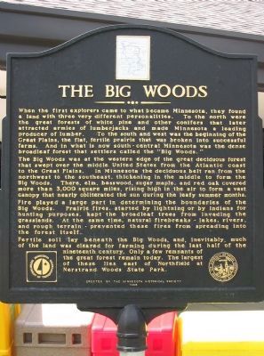 The Big Woods Marker image. Click for full size.