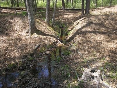Arthur’s Swamp Stream. Click for full size. Arthur’s Swamp Stream image. Click for full size.