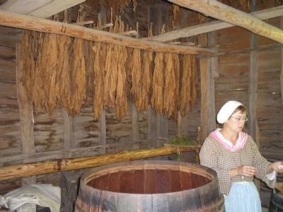 Inside a Tobacco Barn. Click for full size. Inside a Tobacco Barn image. Click for full size.