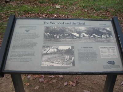 The Wounded and the Dead Marker. Click for full size. The Wounded and the Dead Marker image. Click for full size.