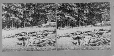Stereo View of the Confederate Dead image. Click for more information.