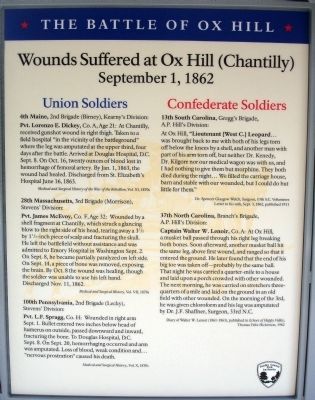 Wounds Suffered at Ox Hill (Chantilly) Panel image. Click for full size.
