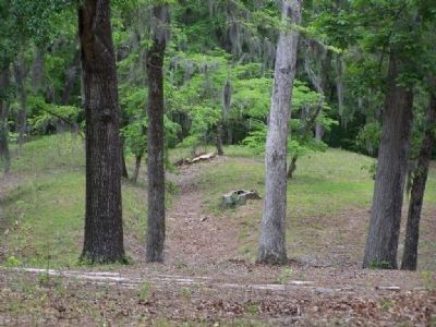 Rivers Bridge earthworks. Click for full size. Rivers Bridge earthworks image. Click for full size.