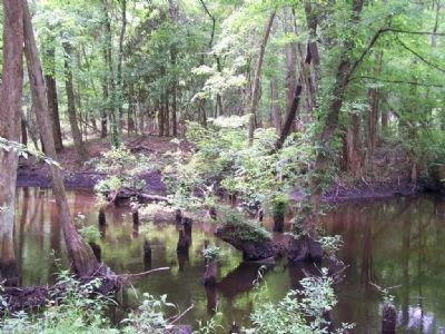 Rivers Bridge Battle site , onetime crossing of Salkewatchie River. Click for full size. Rivers Bridge Battle site , onetime crossing of Salkewatchie River image. Click for full size.